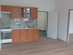 Pronájem bytu 1+1, Plzeň, Stehlíkova, 57 m2