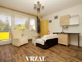 Pronájem bytu 1+kk, Plzeň, Ledecká, 39 m2
