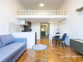Pronájem bytu 1+kk, Praha - Karlín, Karlínské náměstí, 48 m2