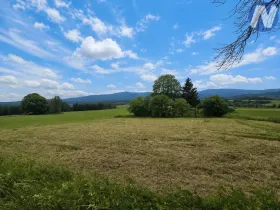 Prodej pozemku pro bydlení, Nová Pec, 2165 m2