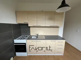 Pronájem bytu 2+1, Ostrava, Bohumínská, 56 m2