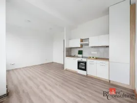 Pronájem bytu 2+kk, Mlékojedy, 57 m2