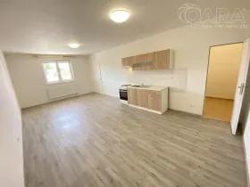 Pronájem bytu 1+kk, Ivanovice na Hané - Chvalkovice na Hané, 46 m2