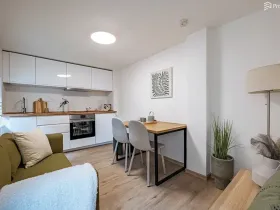 Prodej bytu 1+1, Brno, Elgartova, 30 m2