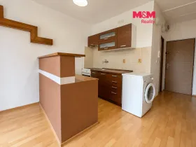 Prodej bytu 1+1, Chomutov, Borová, 35 m2