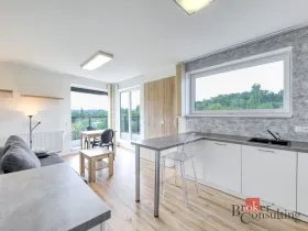 Pronájem bytu 2+kk, Plzeň - Severní Předměstí, Pod Všemi svatými, 74 m2