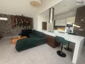 Pronájem rodinného domu, Háj u Duchcova - Domaslavice, Lesní stezka, 700 m2