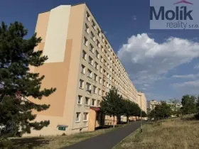 Pronájem bytu 3+1, Most, Česká, 62 m2