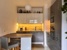 Pronájem bytu 2+kk, Praha - Žižkov, Olšanská, 50 m2