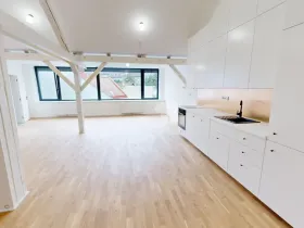 Pronájem komerční nemovitosti, Pelhřimov, Tylova, 151 m2