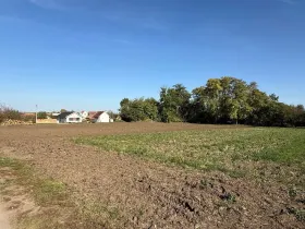 Prodej pozemku pro bydlení, Damnice, 2008 m2