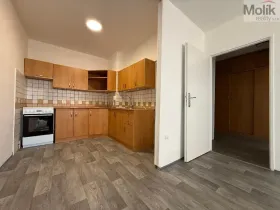 Pronájem bytu 2+kk, Bílina - Pražské Předměstí, Aléská, 48 m2