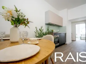 Prodej bytu 3+kk, Brno - Brno-město, Bašty, 58 m2