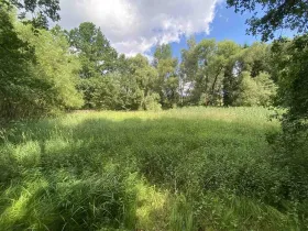 Prodej louky, Nové Hrady - Štiptoň, 4246 m2