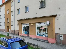 Prodej obchodního prostoru, Šternberk, Jívavská, 115 m2