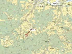 Dražba lesa, Hovězí, 2322 m2