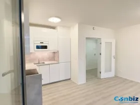 Pronájem bytu 2+kk, Praha - Smíchov, Holečkova, 47 m2