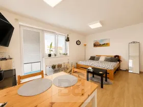 Pronájem bytu 1+kk, Slavkov u Brna, 31 m2