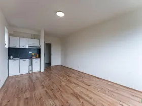 Pronájem bytu 1+kk, Praha - Břevnov, Na břevnovské pláni, 27 m2