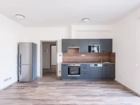 Pronájem bytu 1+kk, Plzeň, Pod Záhorskem, 447 m2