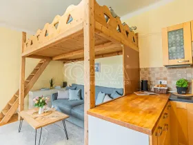 Prodej bytu 1+kk, Praha - Bubeneč, Kyjevská, 39 m2