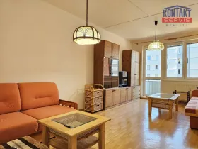 Pronájem bytu 2+1, České Budějovice, Netolická, 47 m2