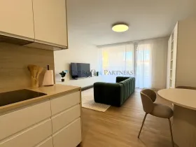 Pronájem bytu 1+kk, Ostrava - Slezská Ostrava, U Hájenky, 40 m2
