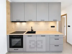 Pronájem bytu 2+1, Brno, Lipská, 55 m2