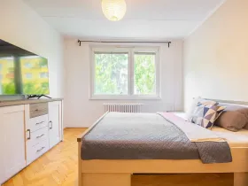 Pronájem bytu 1+1, Brno, Wollmanova, 38 m2