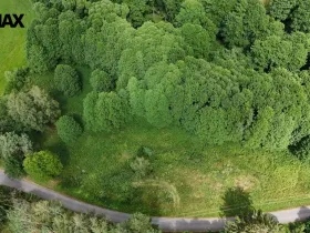 Prodej louky, Borušov, 6111 m2