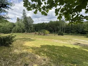 Prodej pozemku pro bydlení, Borušov, 990 m2