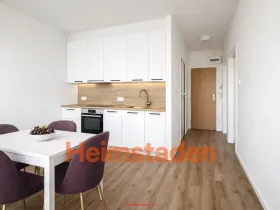 Pronájem bytu 1+1, Frýdek-Místek - Frýdek, K Hájku, 38 m2