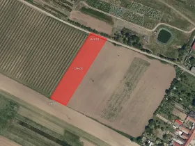 Prodej pole, Svatobořice-Mistřín, 4972 m2