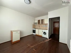Pronájem bytu 1+1, Litvínov - Horní Litvínov, Mostecká, 35 m2