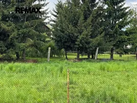 Prodej pozemku pro bydlení, Chocenice, 4491 m2