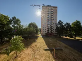 Pronájem pokoje, Olomouc, Pionýrská, 60 m2