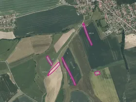 Prodej pole, Dnešice, 26441 m2