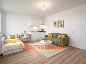 Pronájem bytu 1+kk, Frýdek-Místek - Frýdek, Nad Stadionem, 30 m2