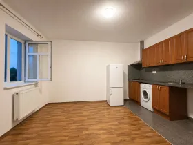 Pronájem bytu 1+kk, Praha - Vysočany, Freyova, 30 m2