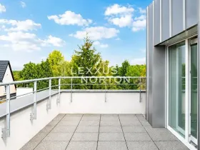 Pronájem rodinného domu, Praha - Břevnov, Falcká, 500 m2