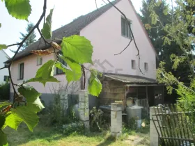 Prodej rodinného domu, Dolní Kralovice, Smetanova, 210 m2