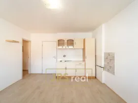 Prodej bytu 1+1, Brno - Veveří, 54 m2