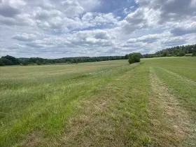 Dražba pozemku, Člunek, 2087 m2