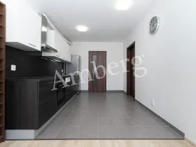 Prodej bytu 2+kk, Praha - Žižkov, Na Vackově, 53 m2