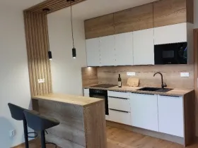 Pronájem bytu 1+kk, Opava, Císařského pluku, 41 m2