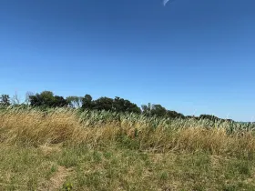 Prodej pole, Mohelnice nad Jizerou, 11600 m2