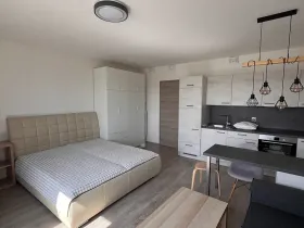 Pronájem bytu 1+kk, Praha - Horní Měcholupy, Hornoměcholupská, 40 m2