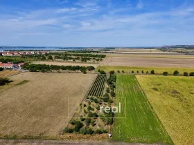 Prodej zahrady, Šakvice, 1790 m2