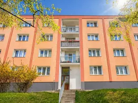 Prodej bytu 3+1, Plzeň, Dlouhá, 76 m2