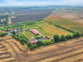 Prodej komerčního pozemku, Pečky, 35798 m2